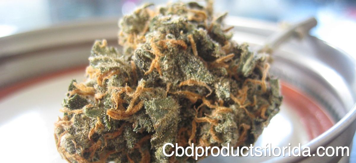 cbdproductsflorida.com